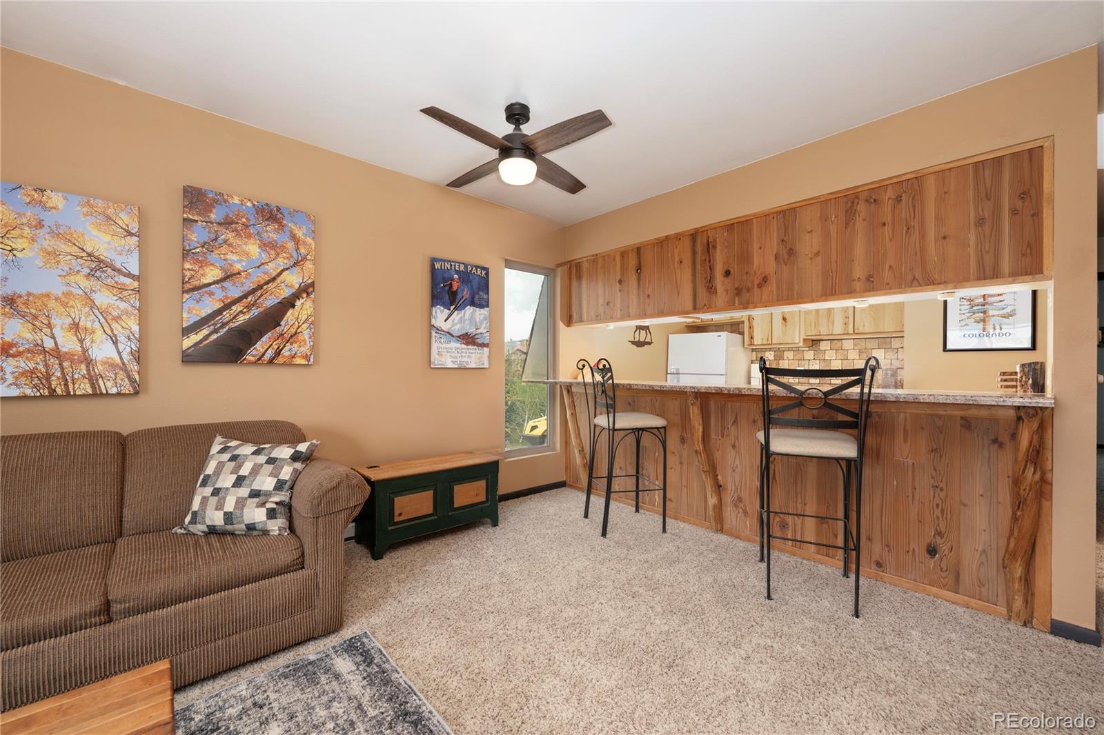 MLS Image #8 for 397  county road 834 ,fraser, Colorado
