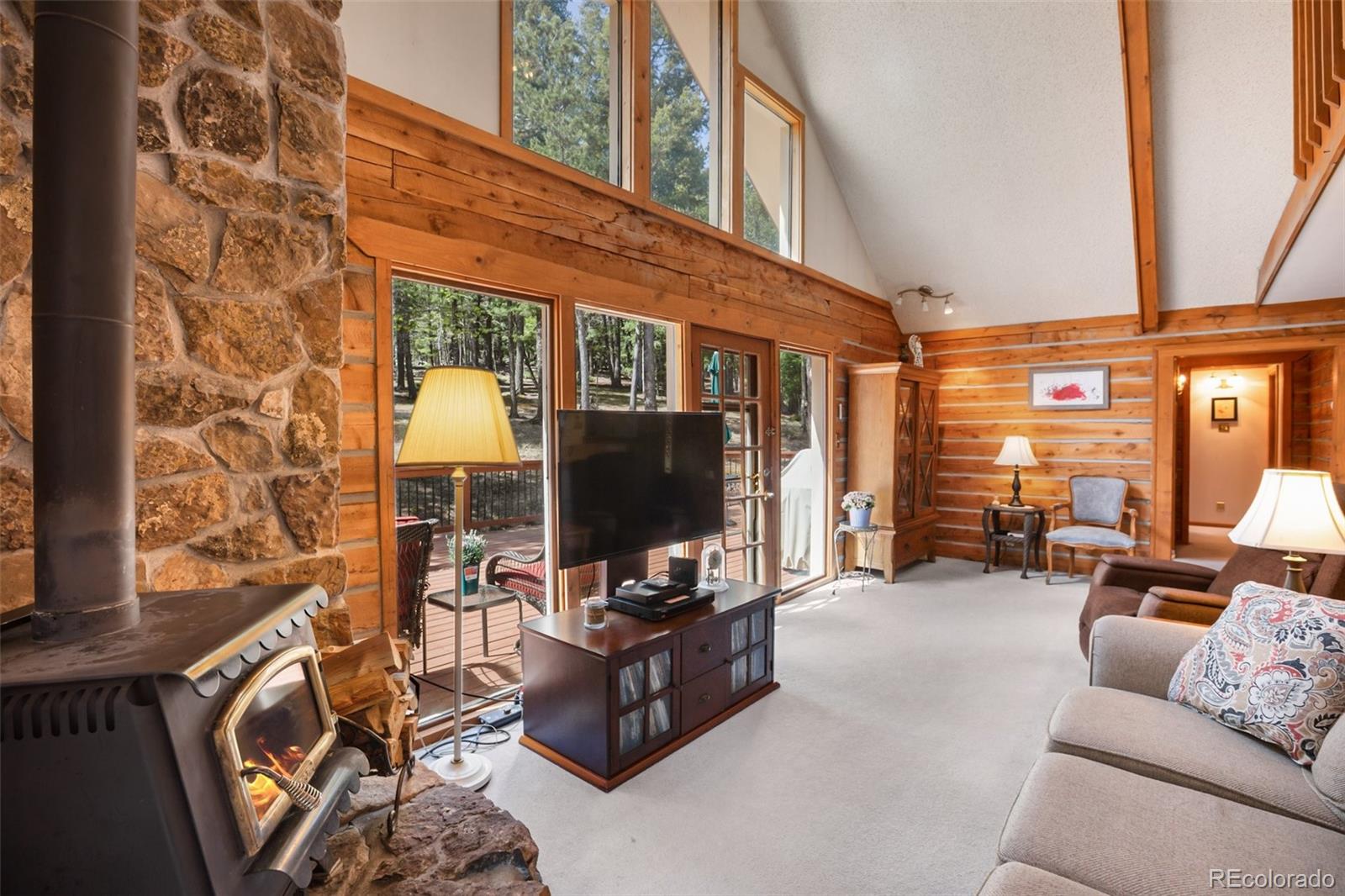 MLS Image #10 for 131  kestrel court,divide, Colorado