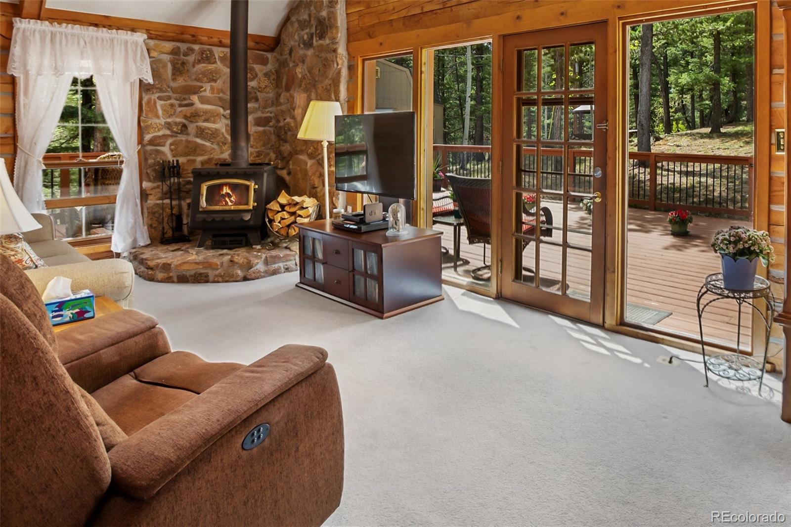 MLS Image #11 for 131  kestrel court,divide, Colorado