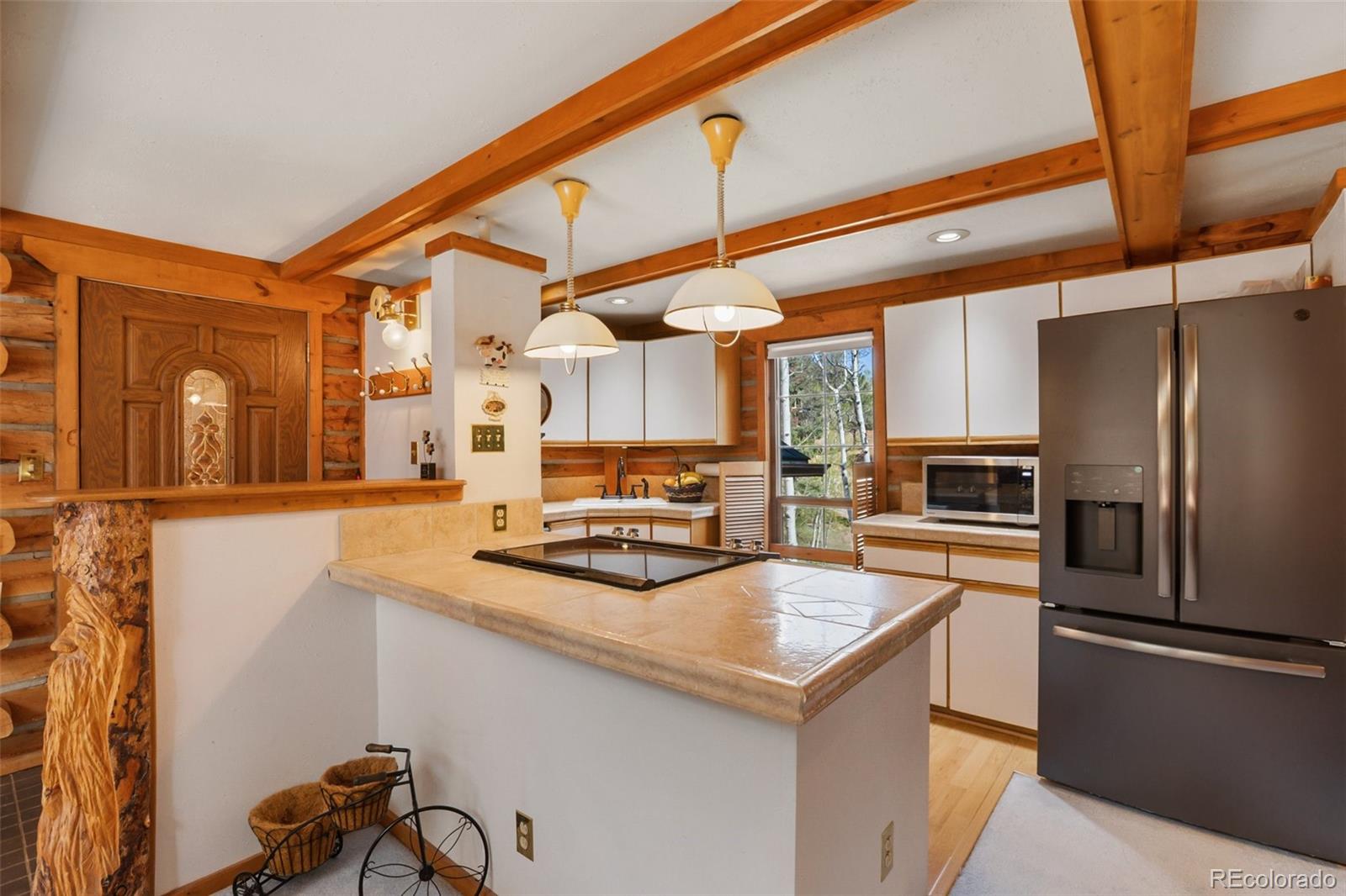 MLS Image #15 for 131  kestrel court,divide, Colorado