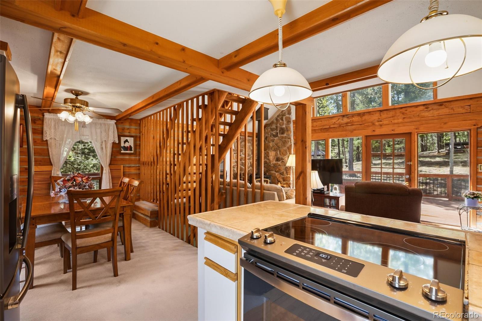 MLS Image #17 for 131  kestrel court,divide, Colorado