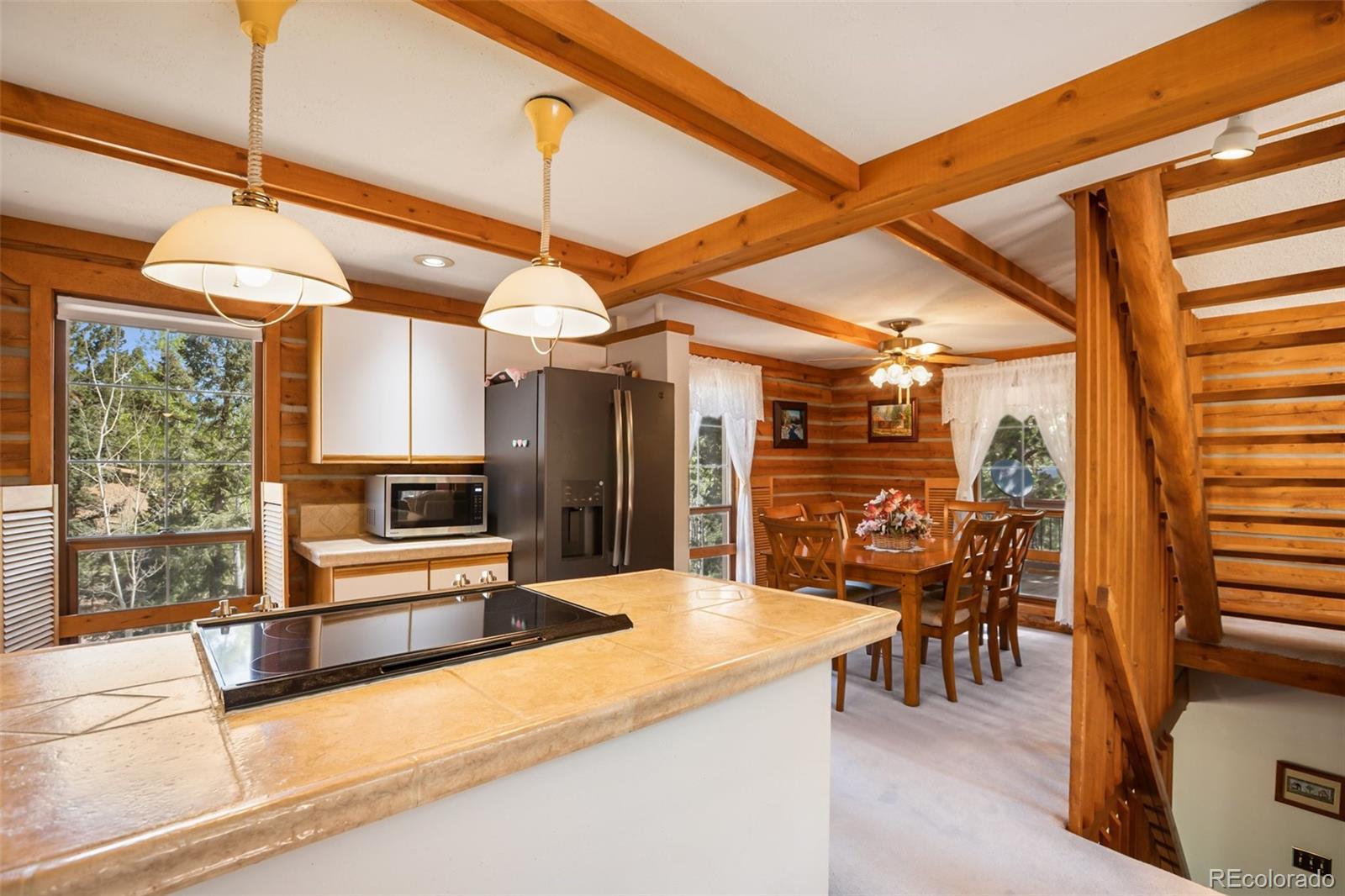 MLS Image #18 for 131  kestrel court,divide, Colorado
