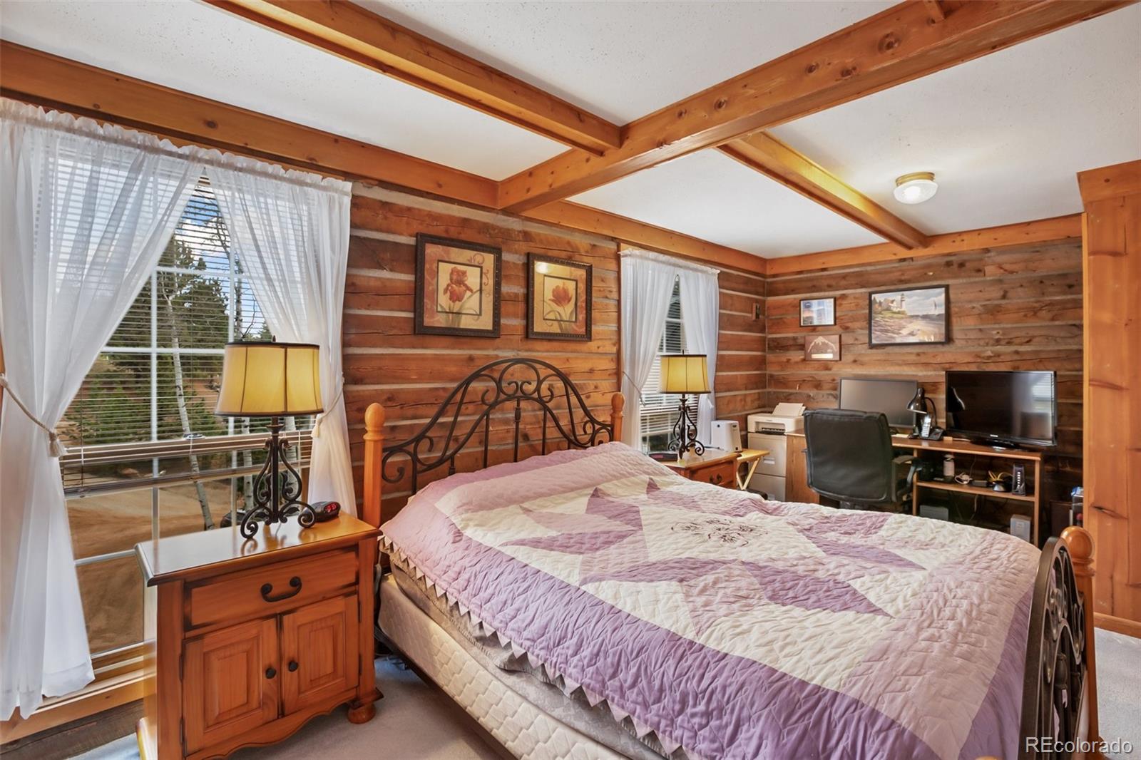 MLS Image #20 for 131  kestrel court,divide, Colorado