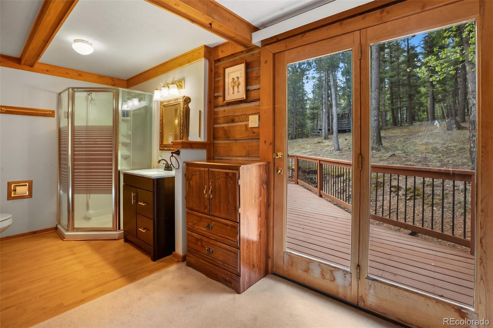 MLS Image #21 for 131  kestrel court,divide, Colorado