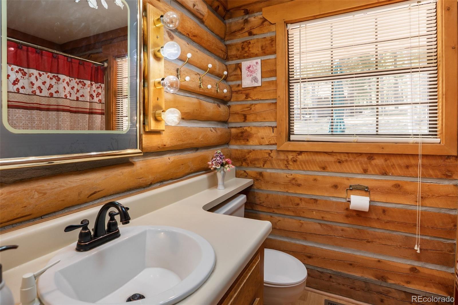 MLS Image #25 for 131  kestrel court,divide, Colorado