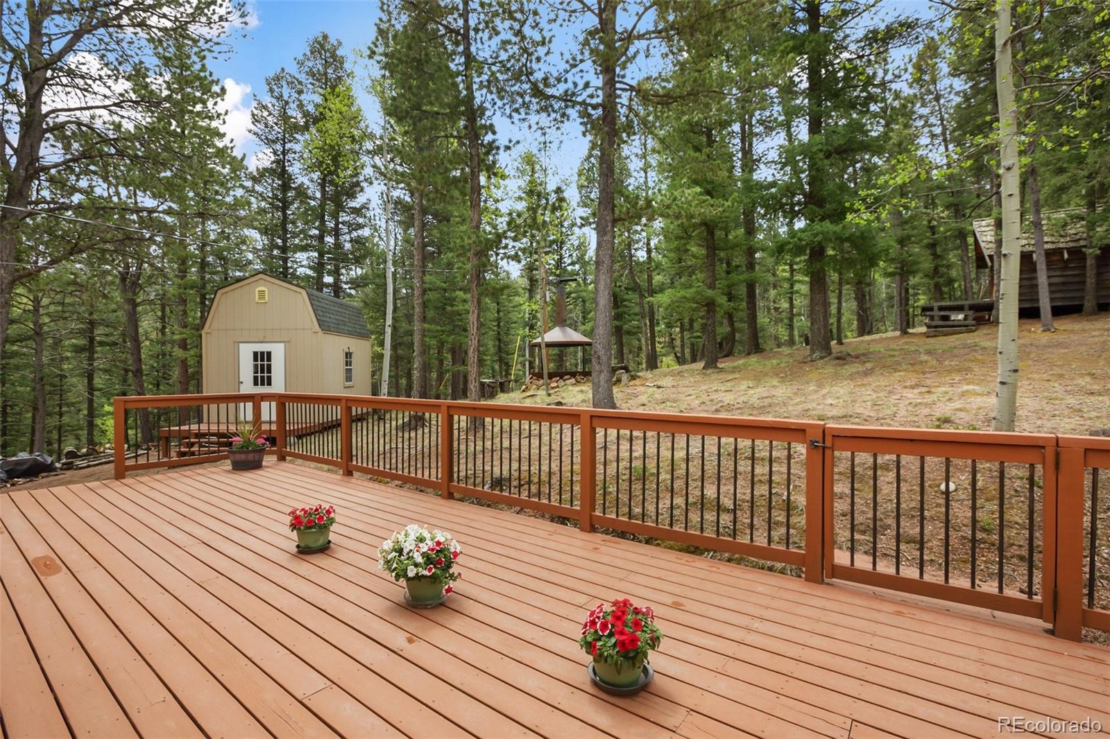 MLS Image #31 for 131  kestrel court,divide, Colorado