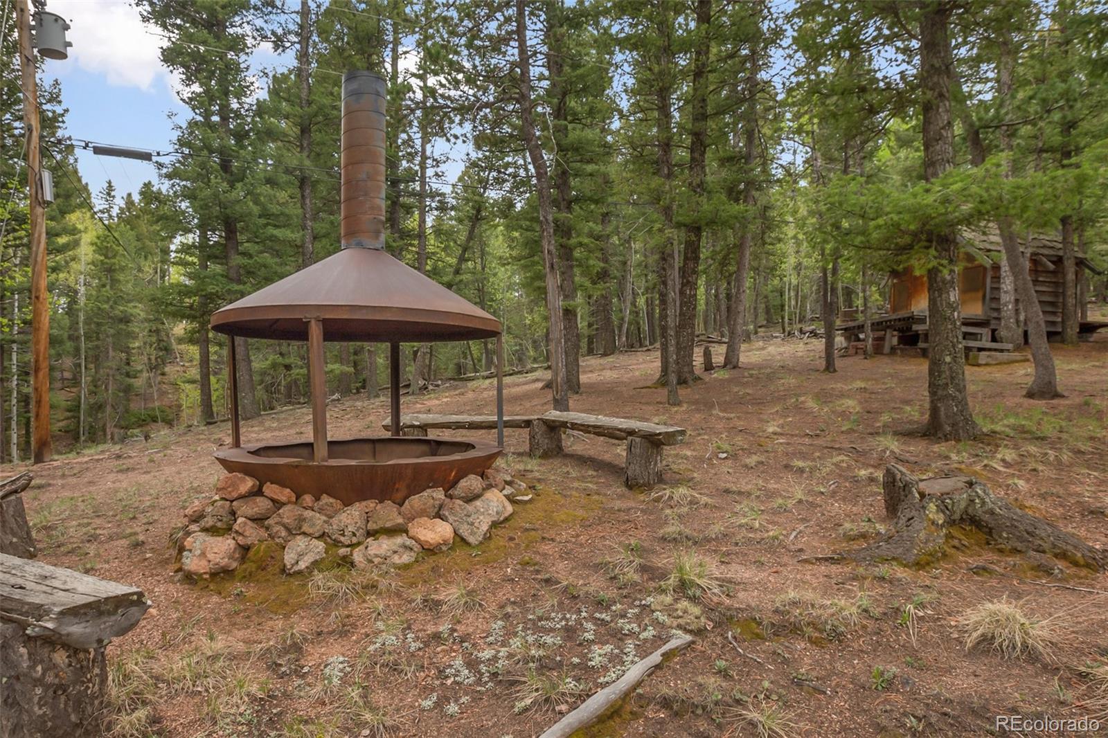 MLS Image #34 for 131  kestrel court,divide, Colorado
