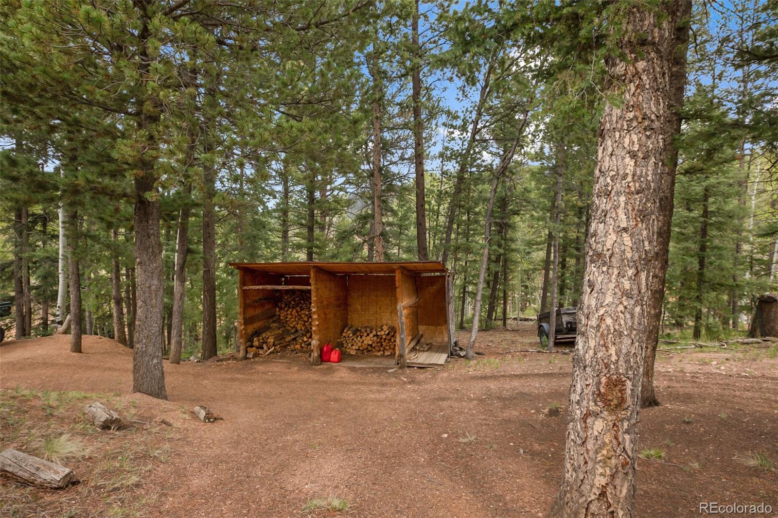 MLS Image #35 for 131  kestrel court,divide, Colorado