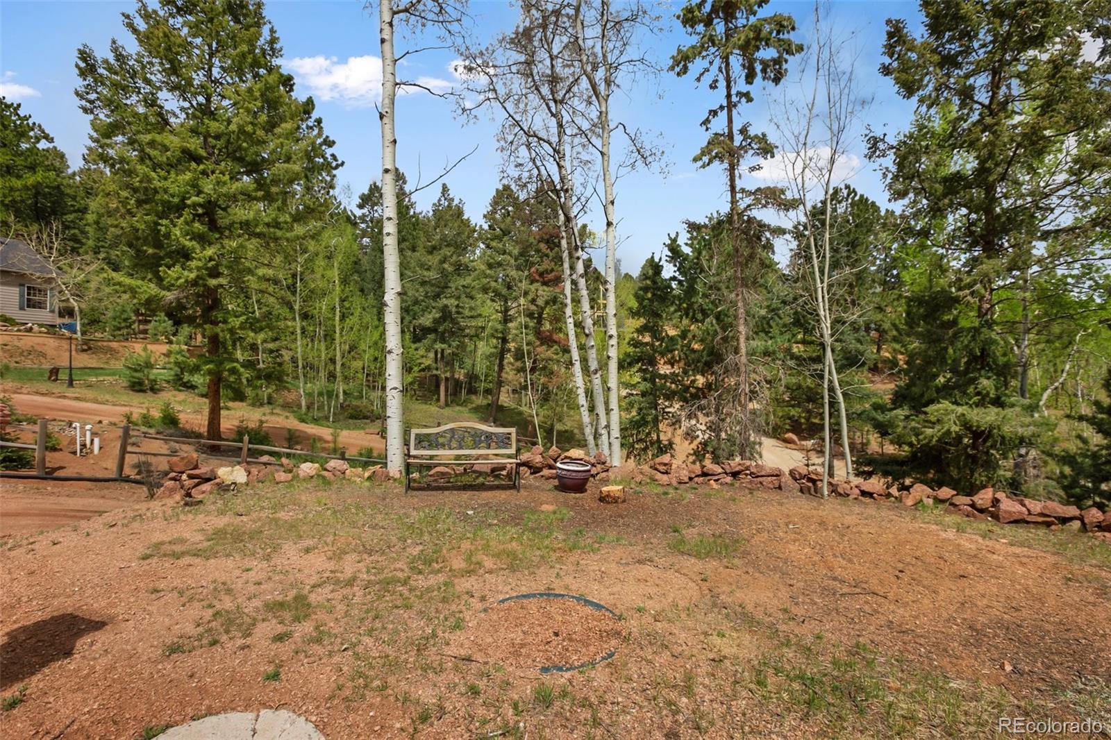 MLS Image #4 for 131  kestrel court,divide, Colorado
