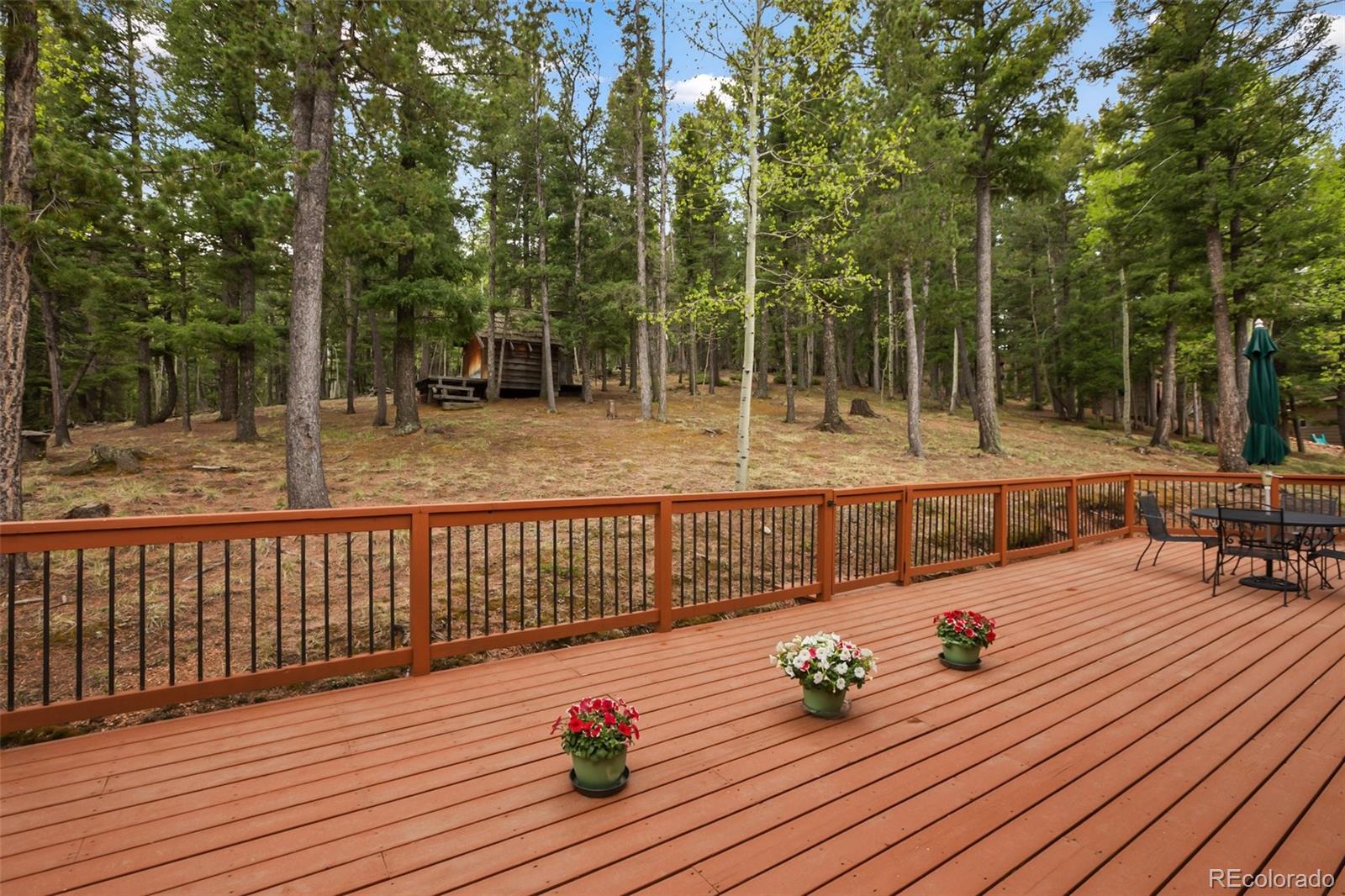 MLS Image #5 for 131  kestrel court,divide, Colorado