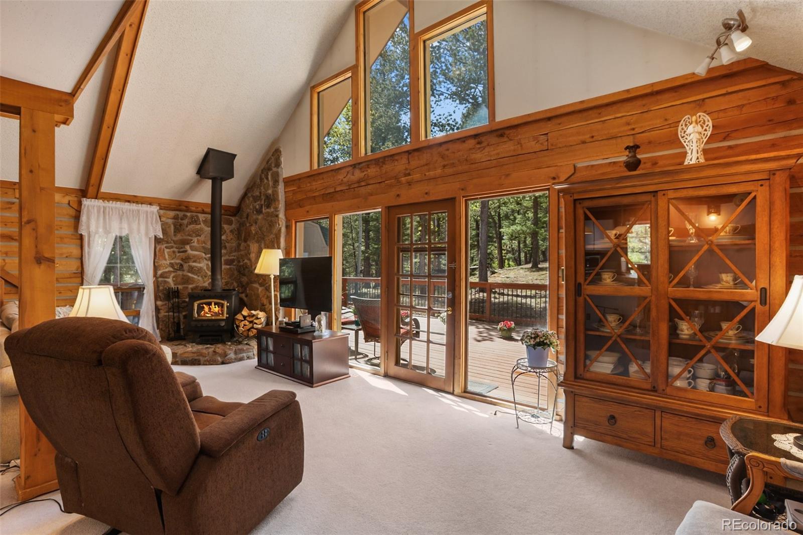 MLS Image #8 for 131  kestrel court,divide, Colorado