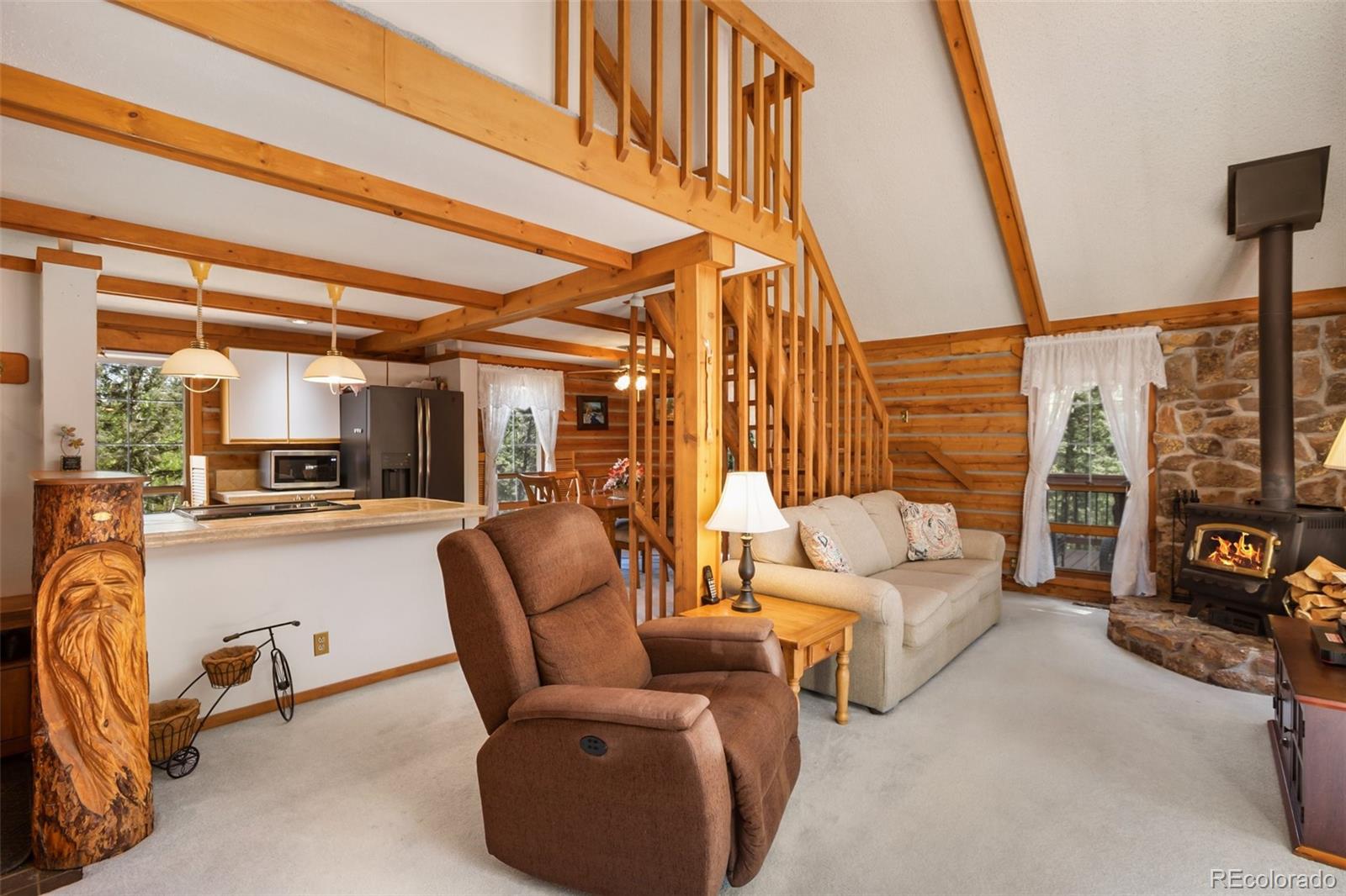 MLS Image #9 for 131  kestrel court,divide, Colorado