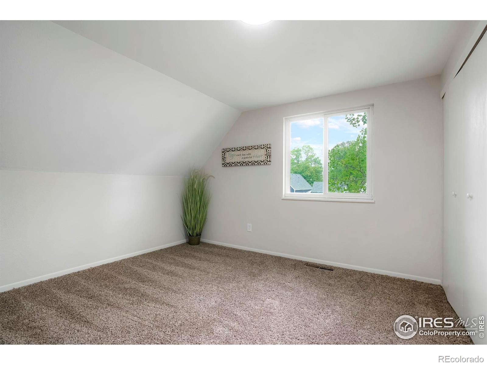 MLS Image #21 for 133  placer avenue,longmont, Colorado
