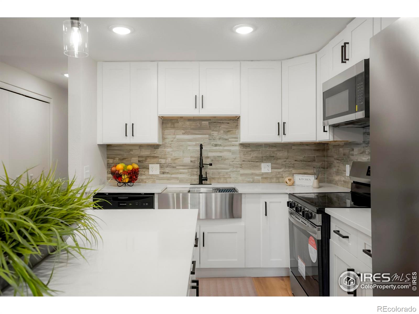 MLS Image #8 for 133  placer avenue,longmont, Colorado