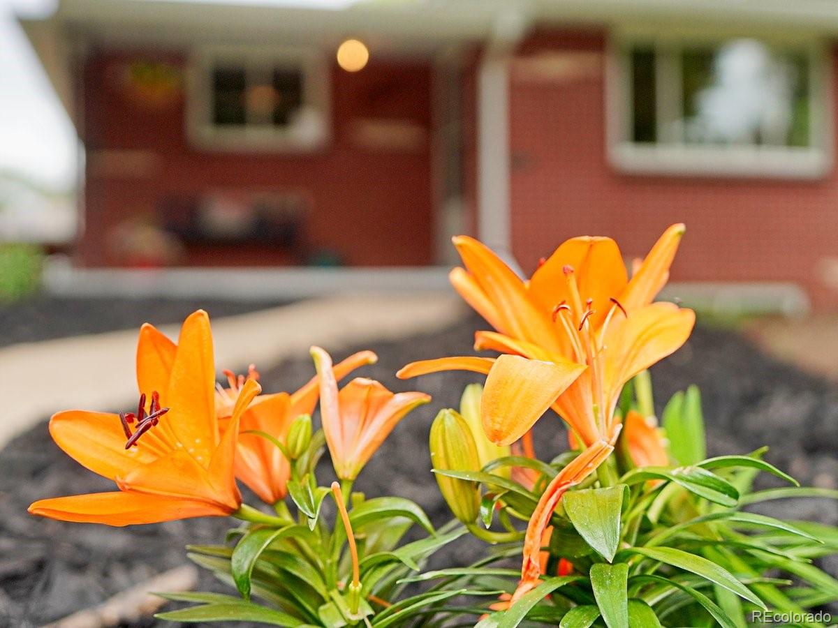 MLS Image #1 for 5185 n meade street street,denver, Colorado