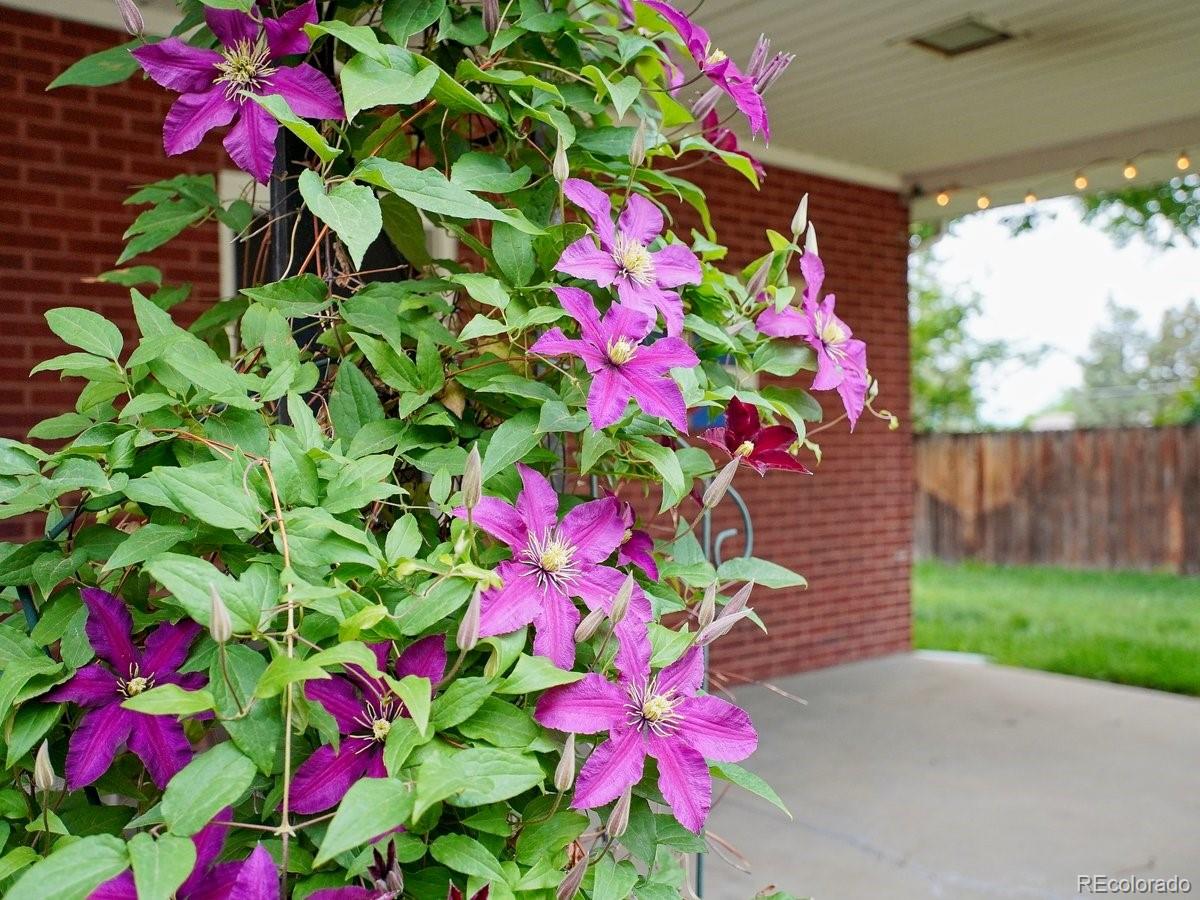 MLS Image #35 for 5185 n meade street street,denver, Colorado
