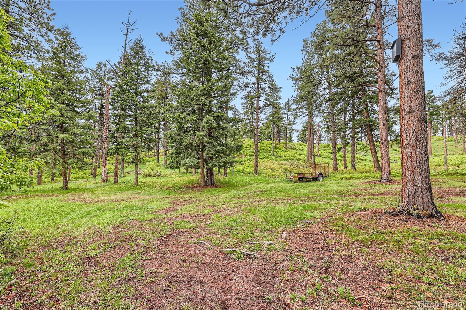 MLS Image #37 for 4856  cheyenne drive,larkspur, Colorado