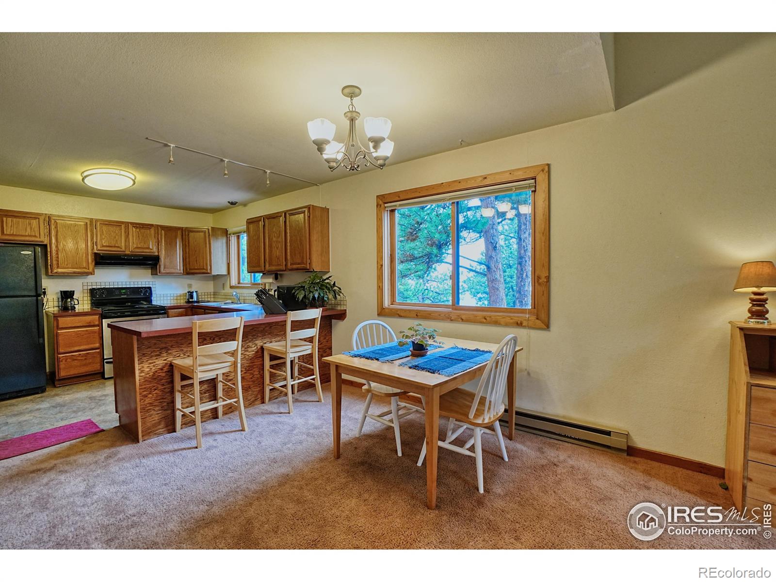 MLS Image #15 for 38  navajo trail,nederland, Colorado