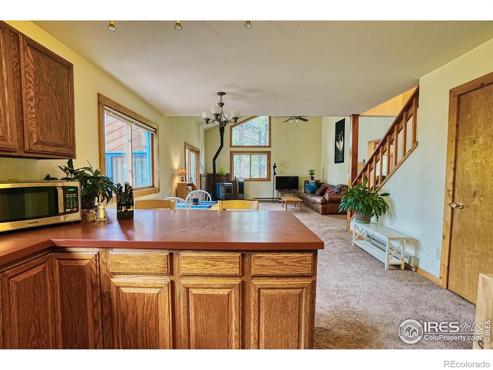 MLS Image #17 for 38  navajo trail,nederland, Colorado