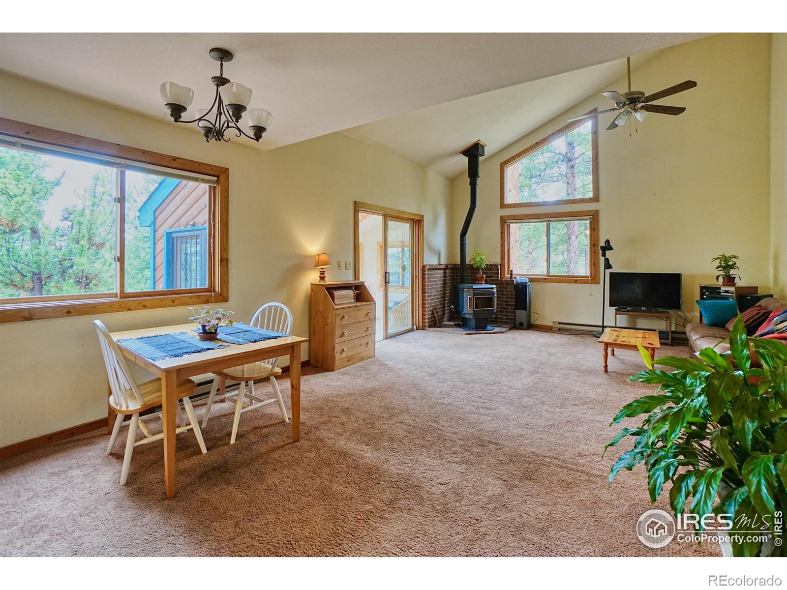 MLS Image #18 for 38  navajo trail,nederland, Colorado