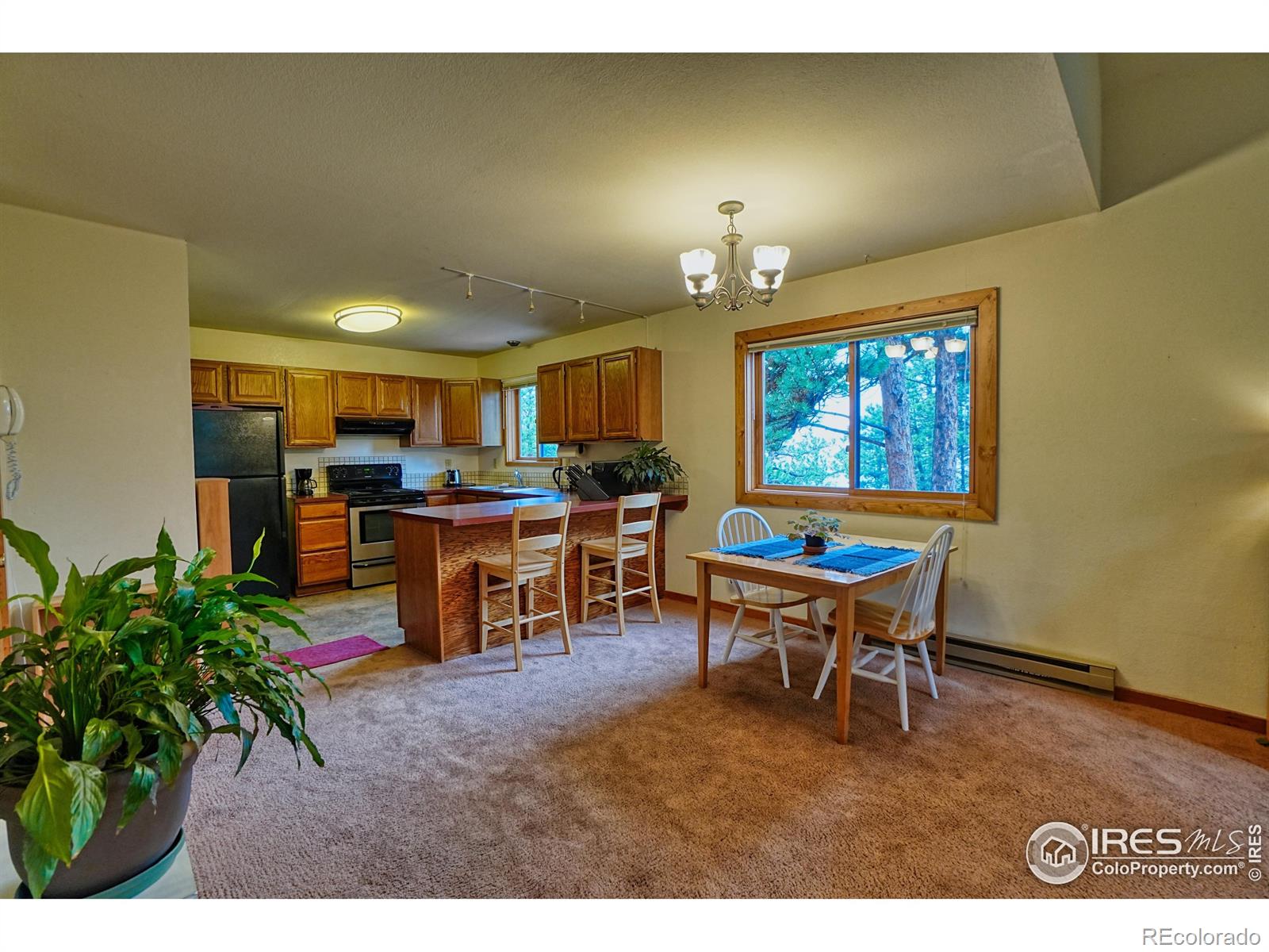 MLS Image #19 for 38  navajo trail,nederland, Colorado