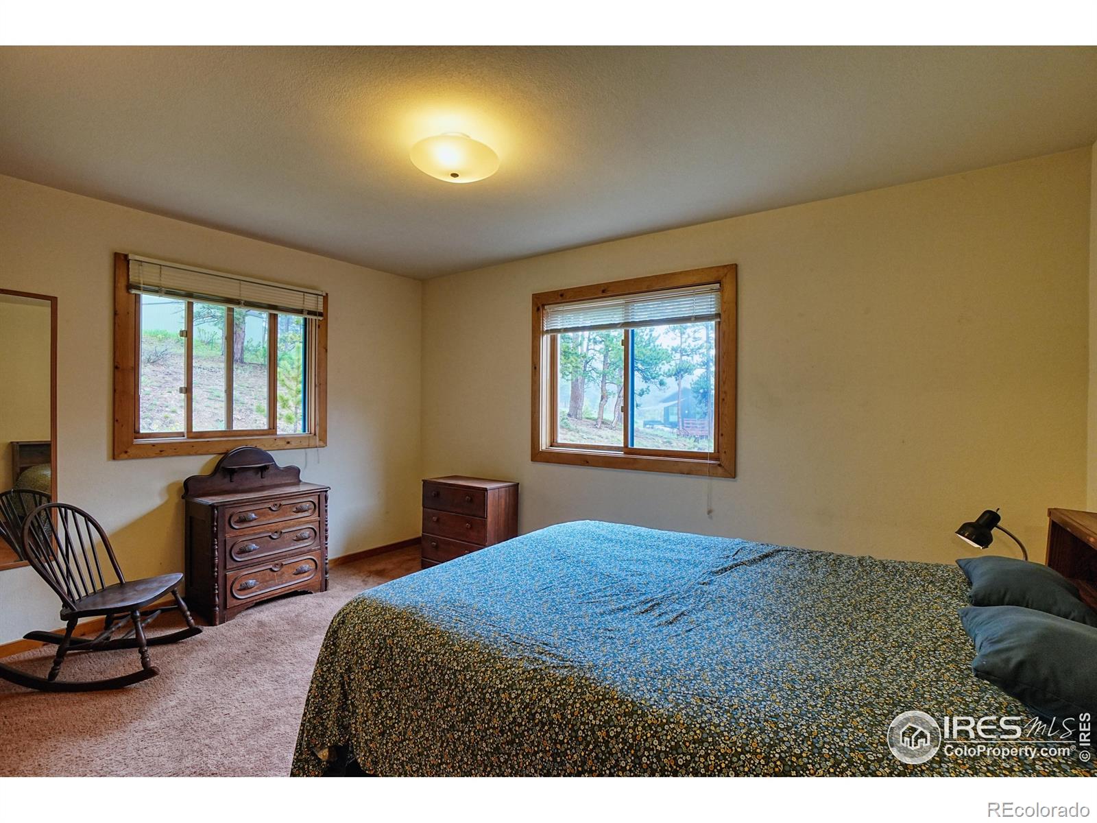 MLS Image #23 for 38  navajo trail,nederland, Colorado