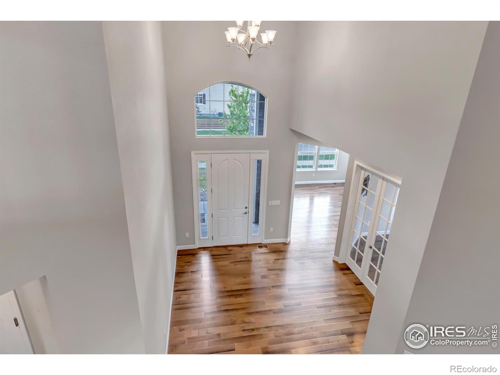 MLS Image #7 for 913  green mountain drive,erie, Colorado