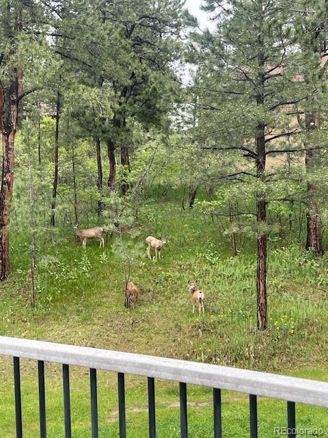 MLS Image #34 for 1038  tenderfoot drive,larkspur, Colorado