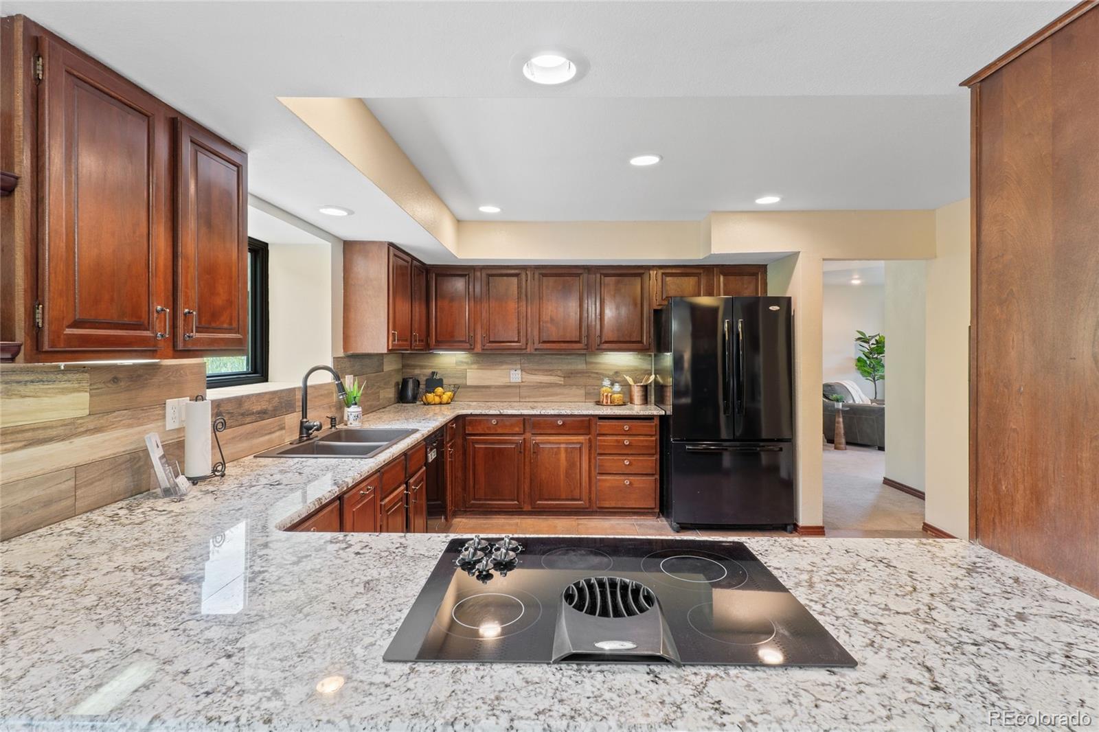 MLS Image #13 for 5979  willow springs drive,morrison, Colorado
