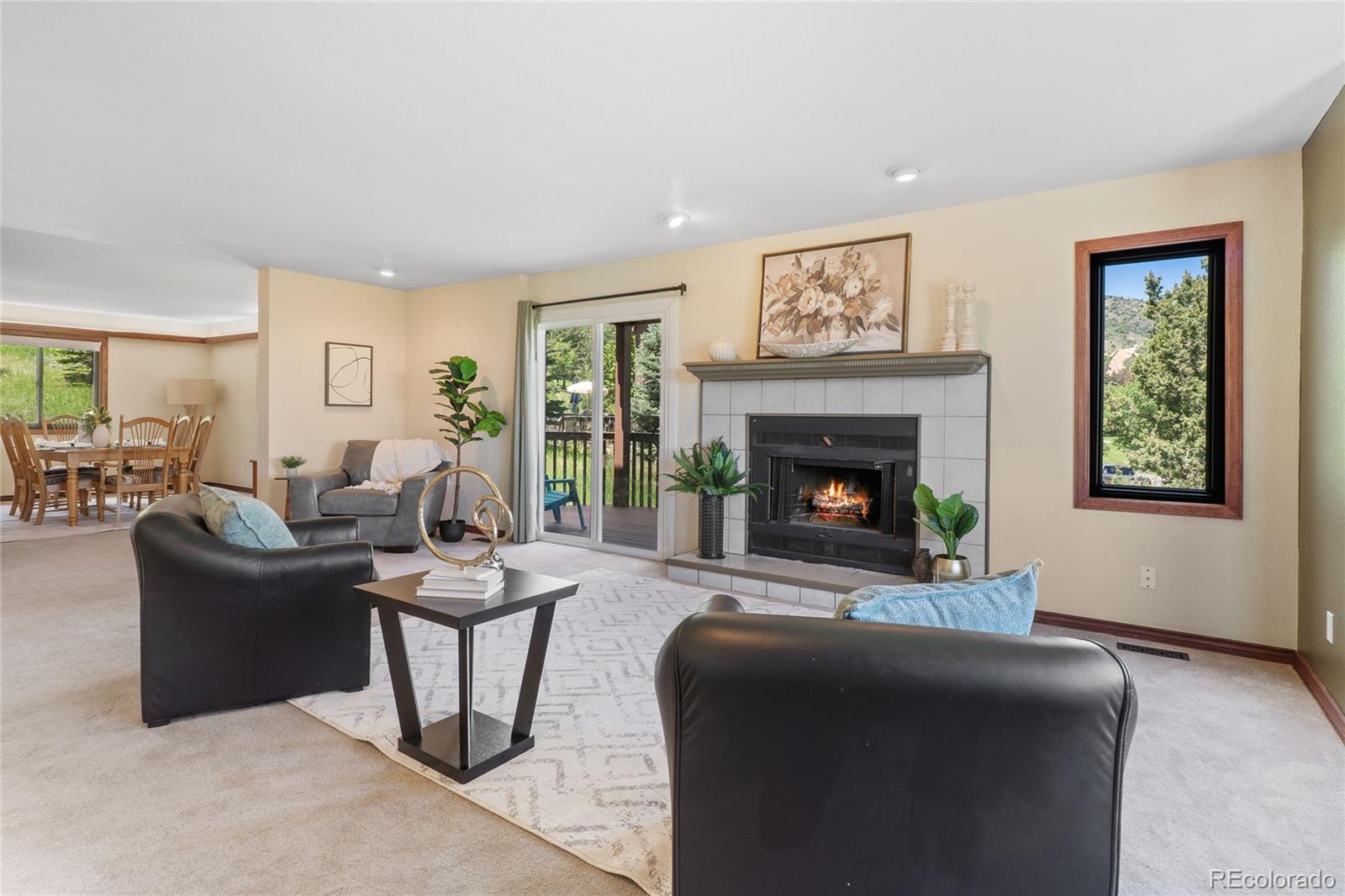 MLS Image #9 for 5979  willow springs drive,morrison, Colorado
