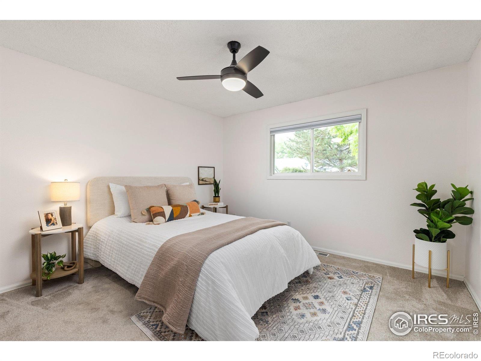 MLS Image #13 for 13441  sheridan boulevard,broomfield, Colorado