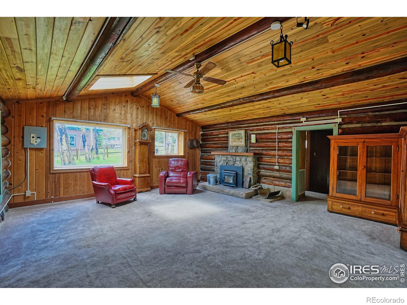 MLS Image #8 for 545  eldorado avenue,nederland, Colorado