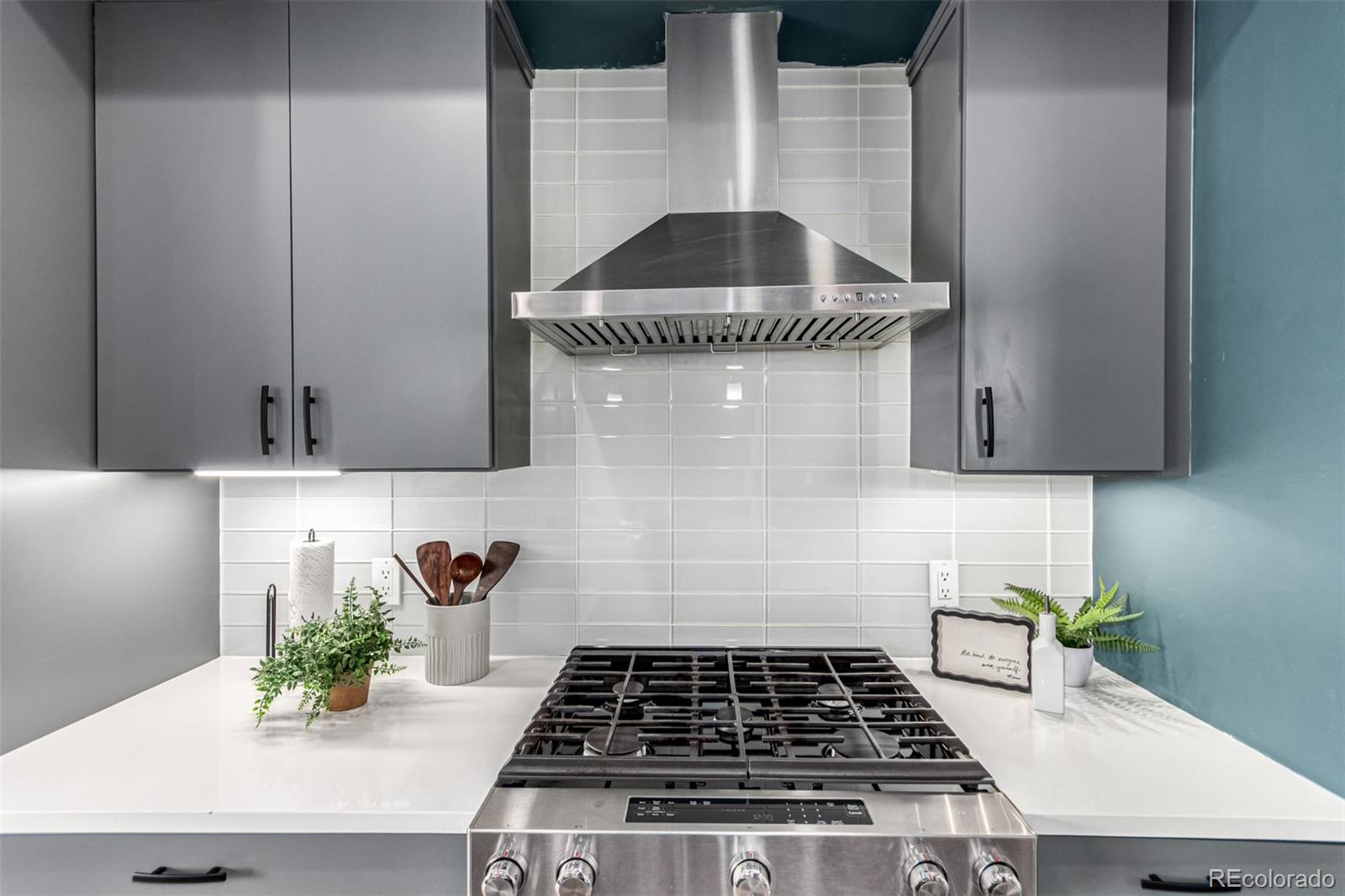 MLS Image #12 for 4922  lowell boulevard,denver, Colorado