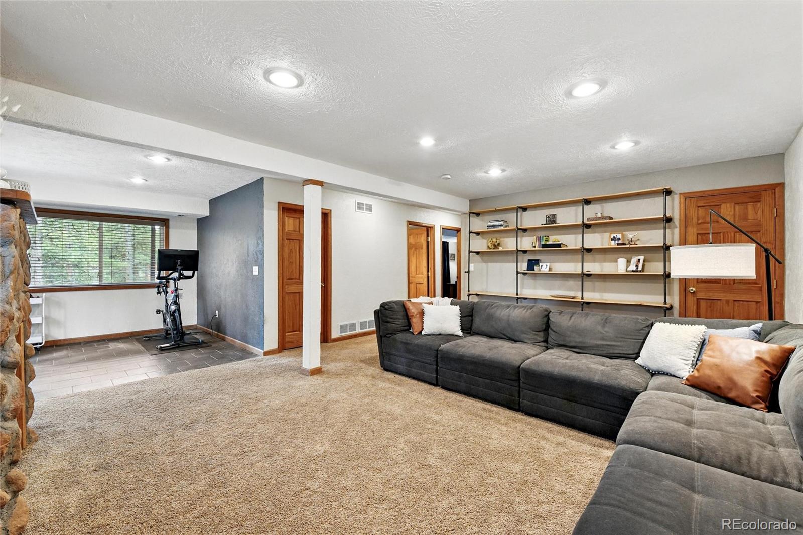 MLS Image #10 for 294  kudu trail,bailey, Colorado