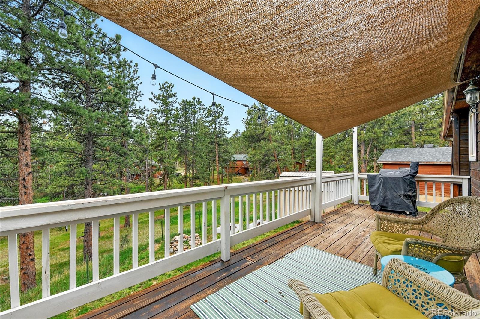 MLS Image #21 for 294  kudu trail,bailey, Colorado