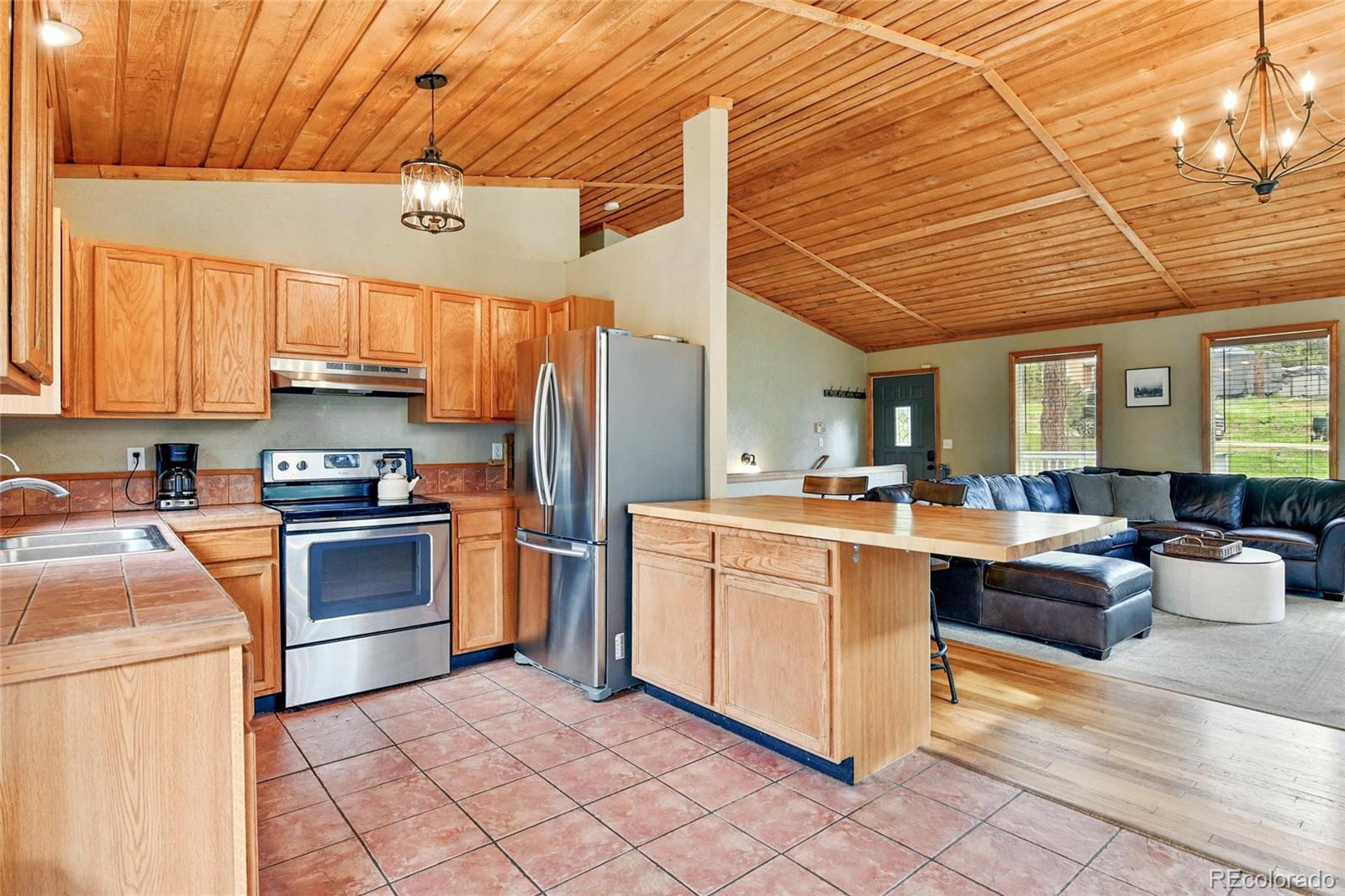 MLS Image #4 for 294  kudu trail,bailey, Colorado