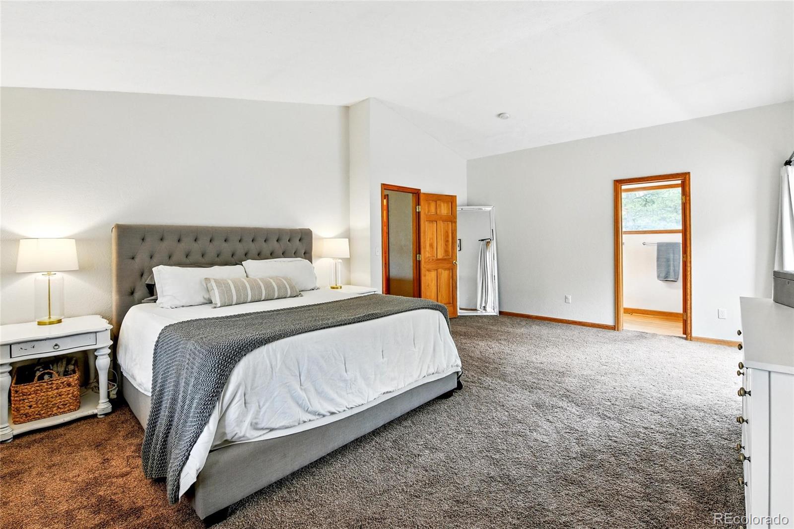 MLS Image #6 for 294  kudu trail,bailey, Colorado
