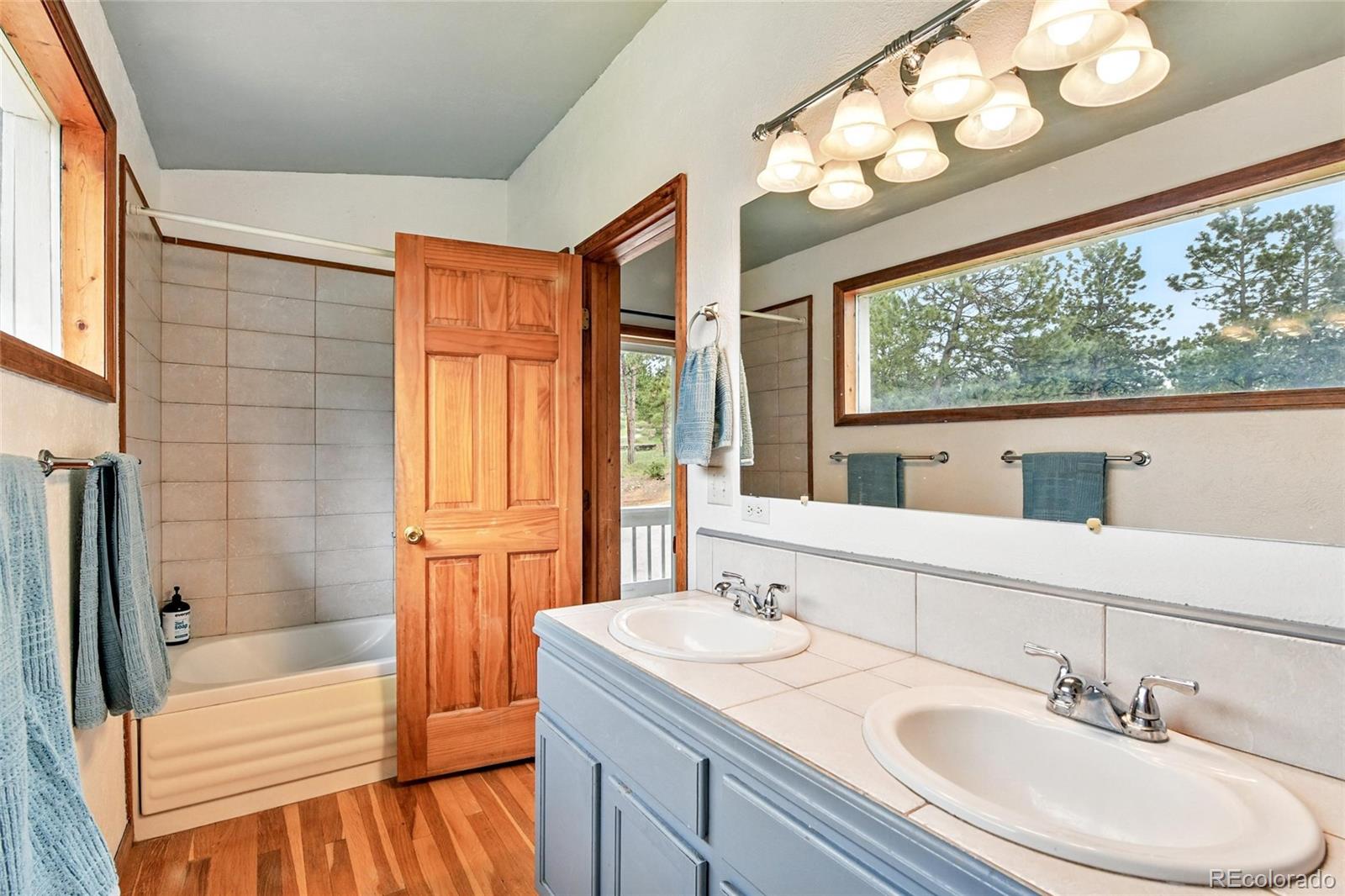 MLS Image #7 for 294  kudu trail,bailey, Colorado