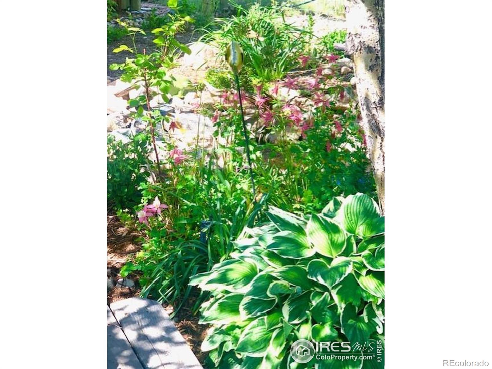 MLS Image #10 for 17284 w county road 74e ,red feather lakes, Colorado