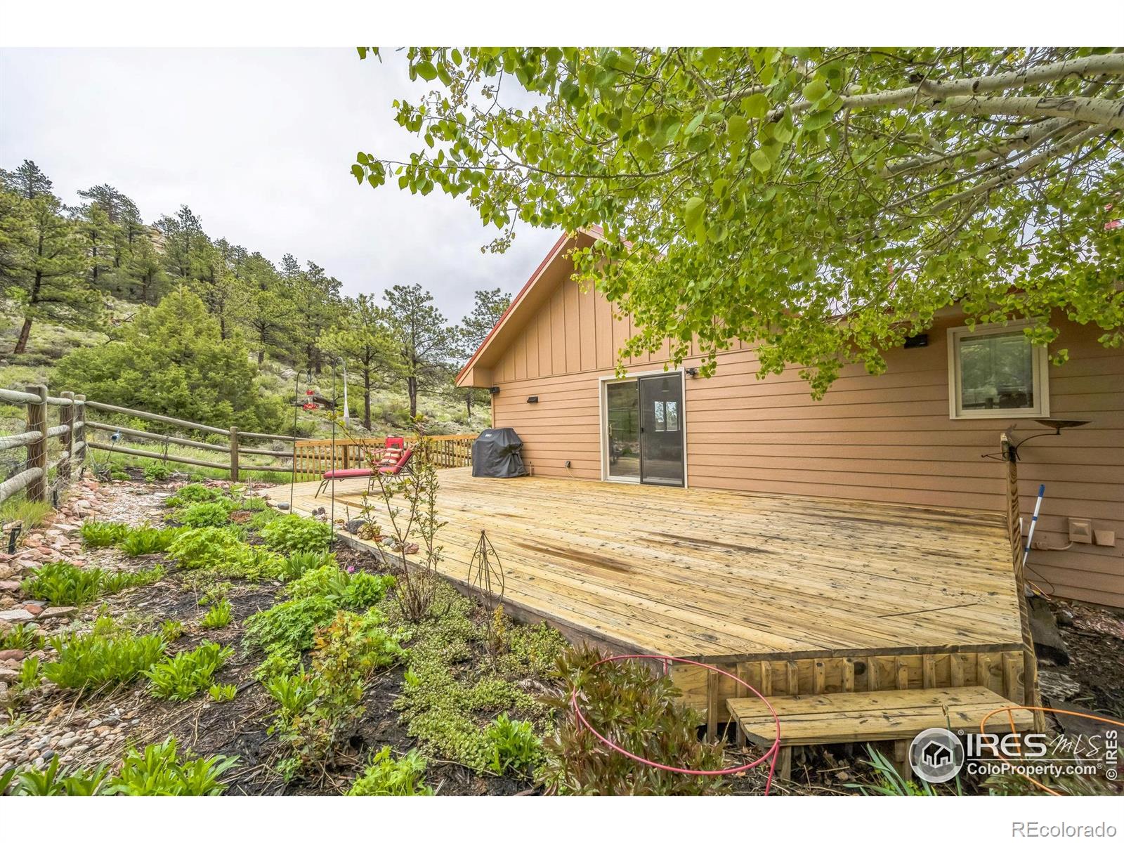 MLS Image #6 for 17284 w county road 74e ,red feather lakes, Colorado