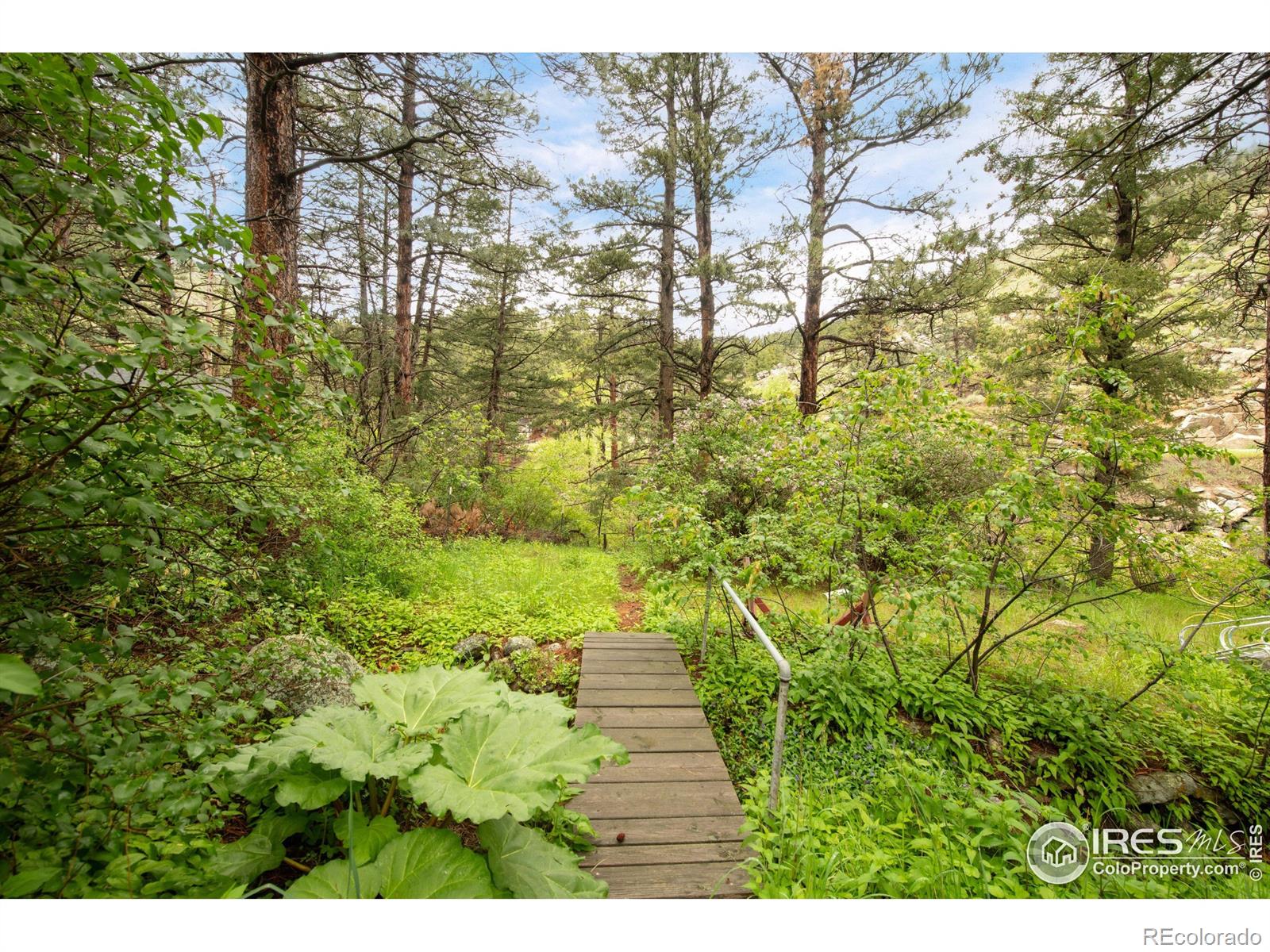 MLS Image #20 for 35106  boulder canyon drive,boulder, Colorado