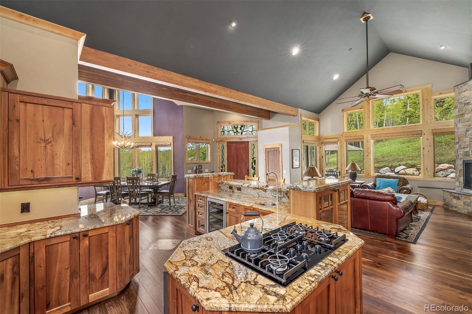 MLS Image #10 for 2655  hunters knob road,silverthorne, Colorado