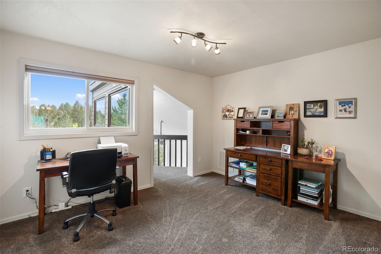 MLS Image #19 for 45  barr lake circle,divide, Colorado