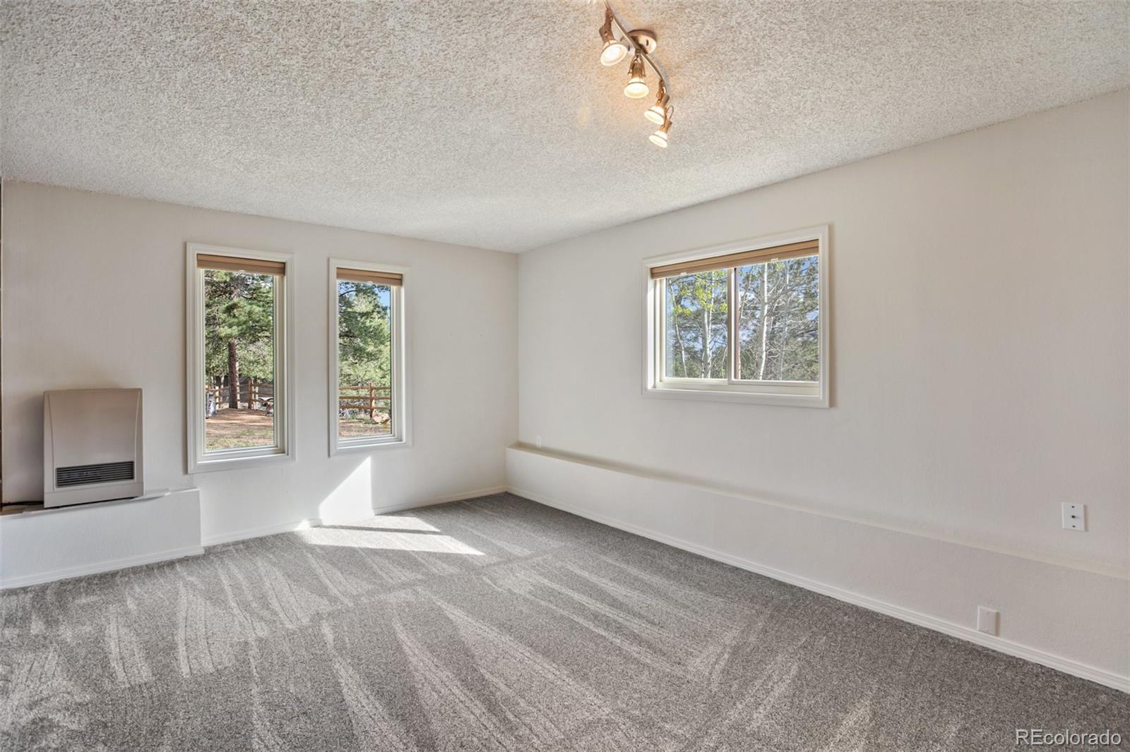 MLS Image #25 for 45  barr lake circle,divide, Colorado