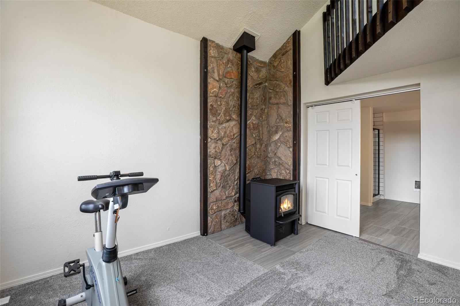 MLS Image #27 for 45  barr lake circle,divide, Colorado