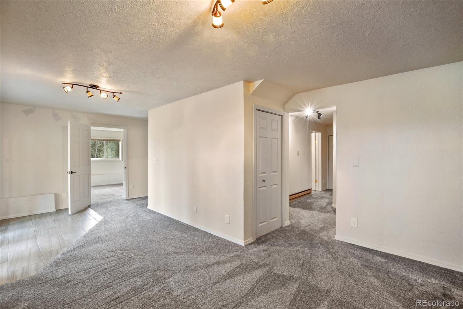 MLS Image #31 for 45  barr lake circle,divide, Colorado