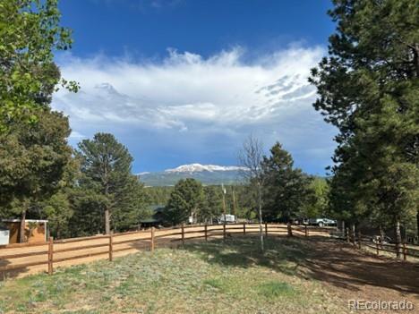 MLS Image #41 for 45  barr lake circle,divide, Colorado
