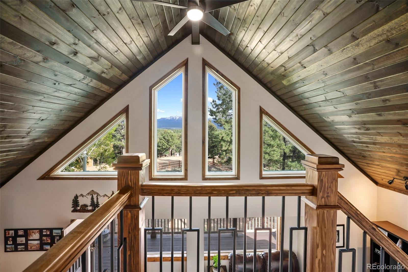 MLS Image #5 for 45  barr lake circle,divide, Colorado