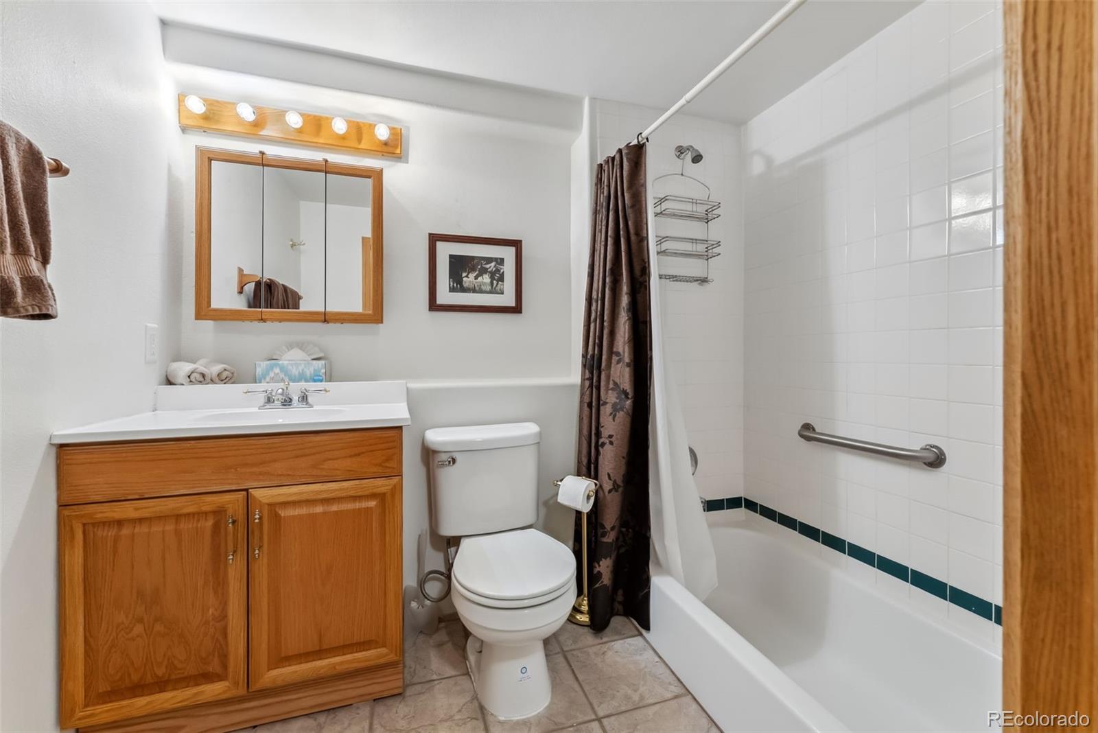 MLS Image #17 for 162  fawn court,silverthorne, Colorado