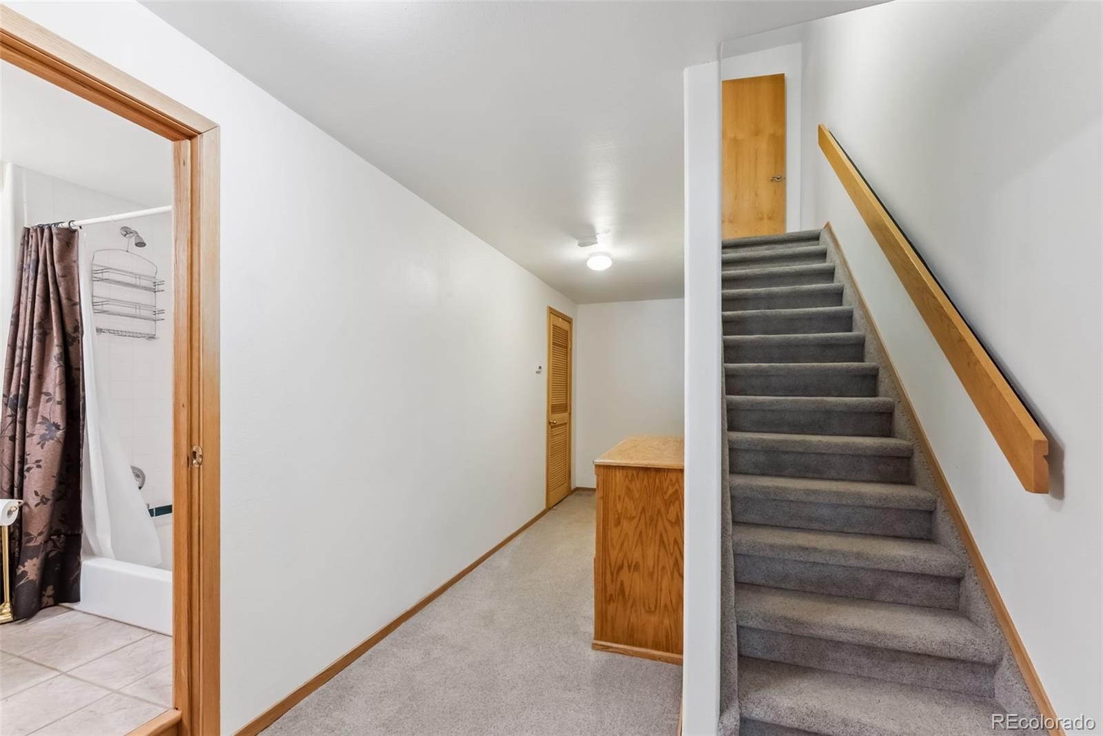 MLS Image #18 for 162  fawn court,silverthorne, Colorado